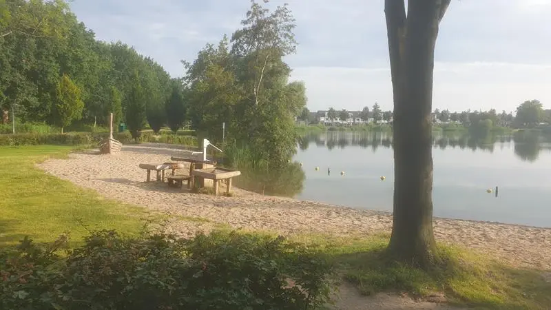Tijningenplas 