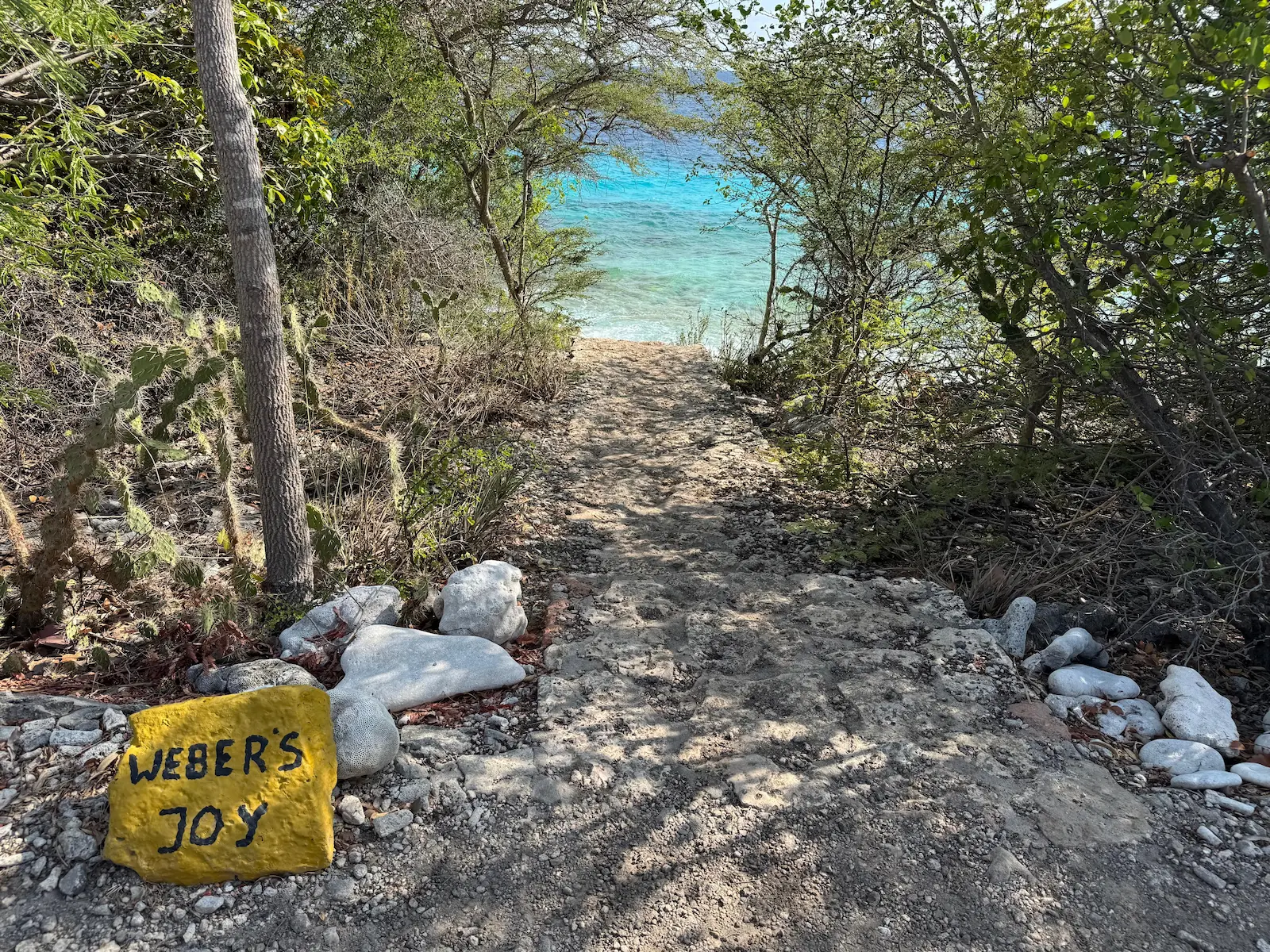 Webers joy - witches hut