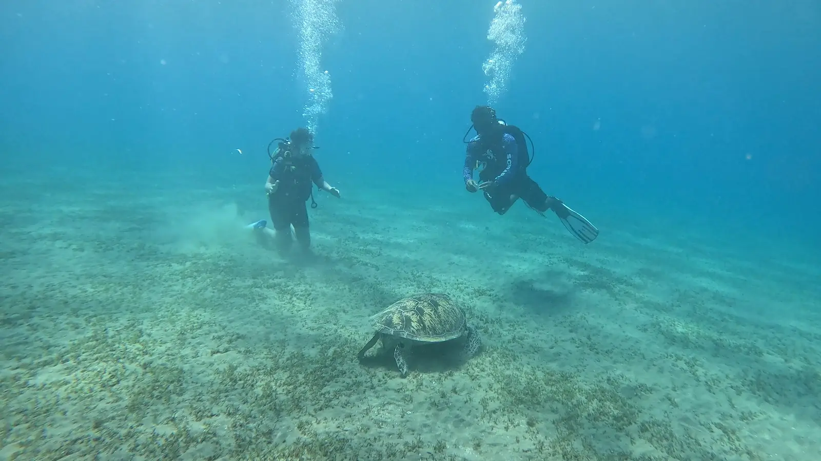 Abu dabab Bay South Egypte (4)