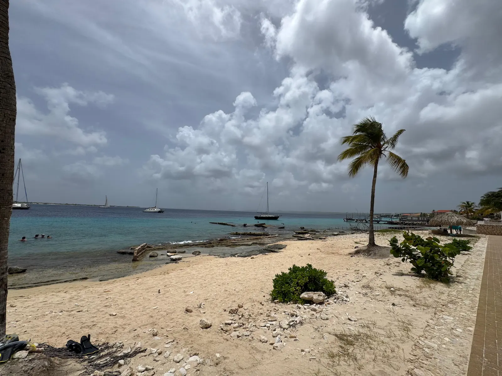 Duiklocatie Bari Reef nummer 30 op Bonaire