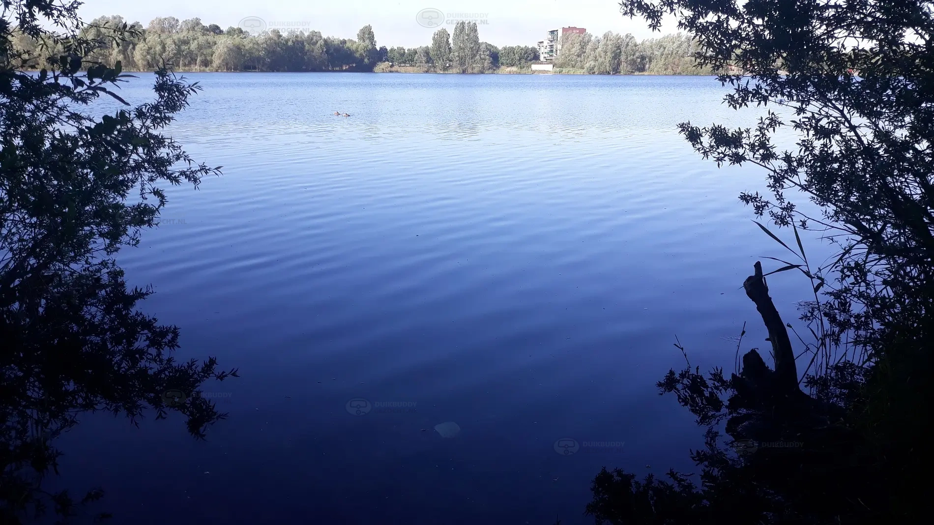 De Baars – Put van Heel