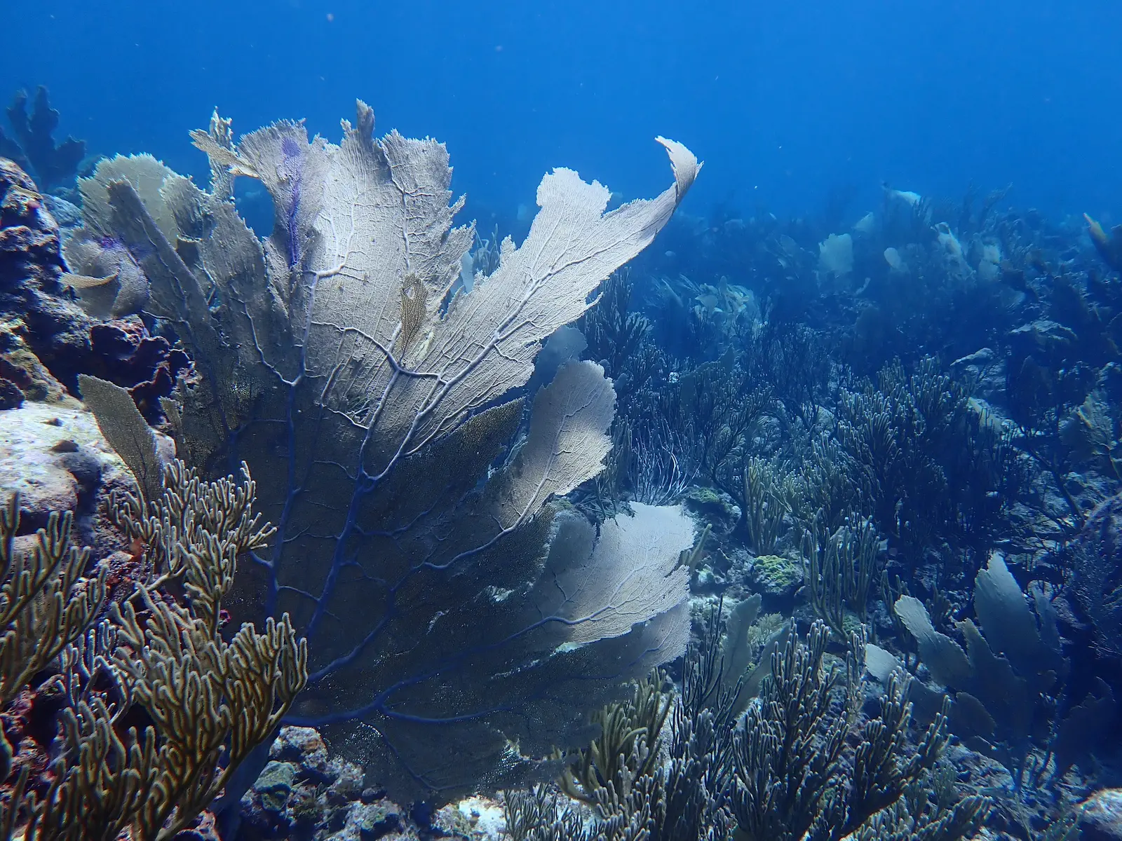 Bonaire Lighthouse (2)