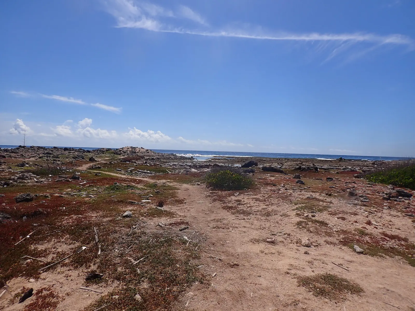 Bonaire shrimpfactory 7