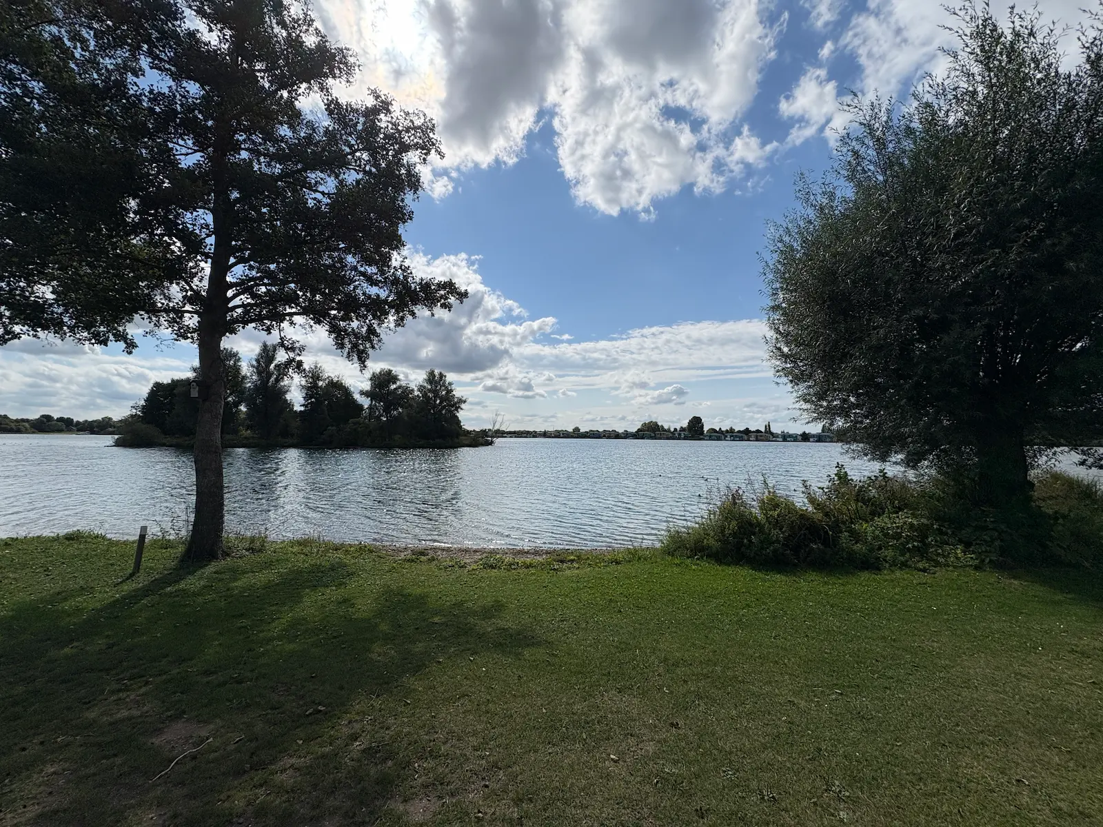 De gouden ham   Groene eiland (5)