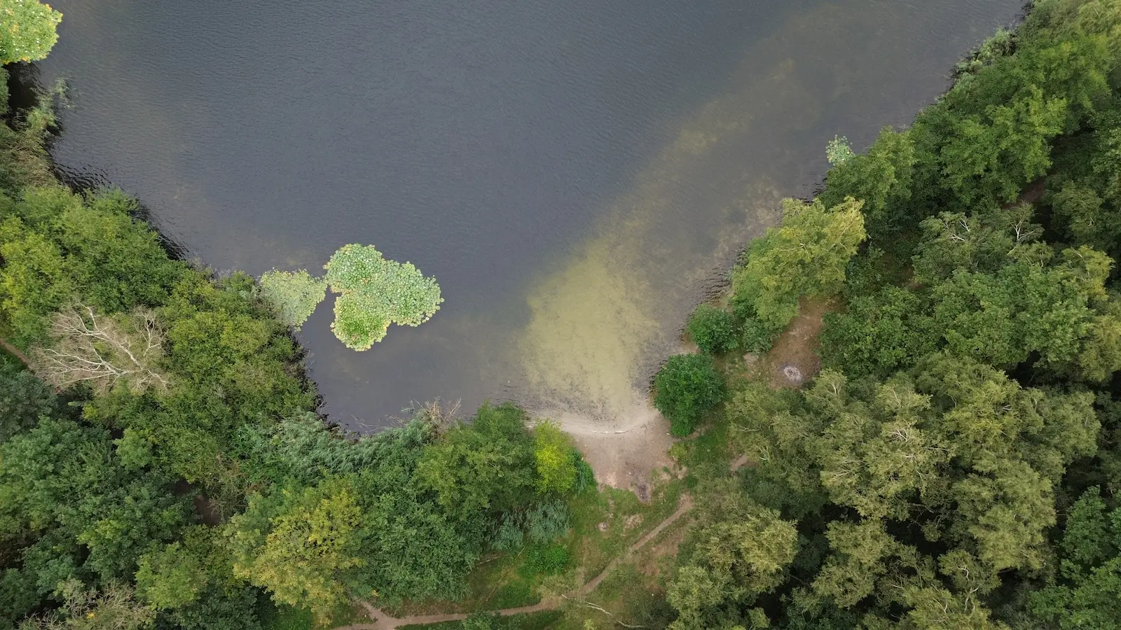 Drunense plas luchtfoto (26)