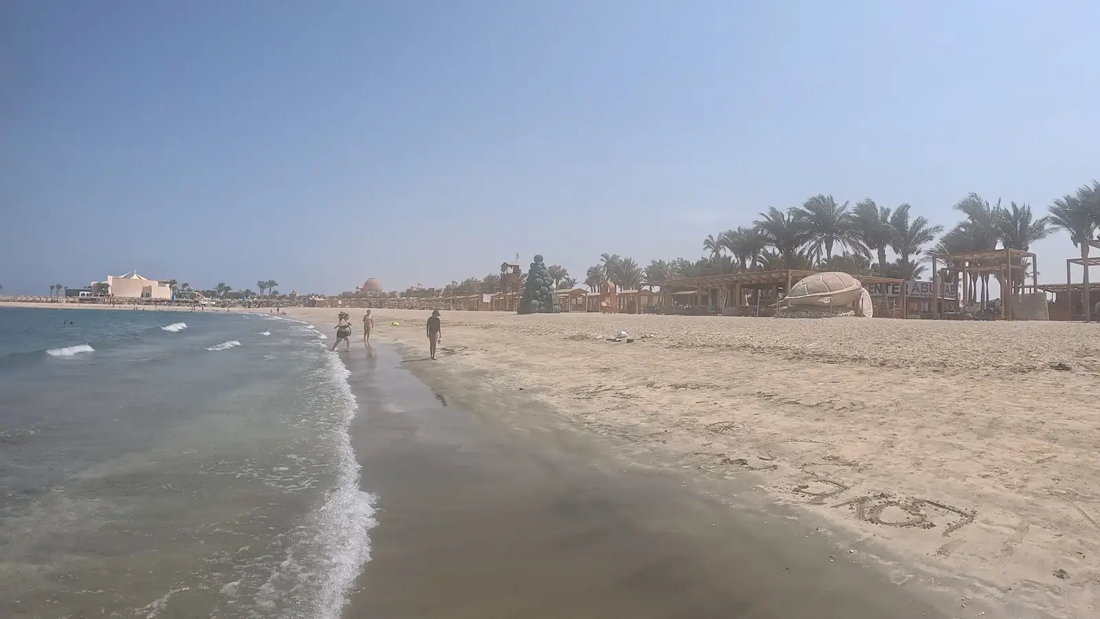 Abu dabab Bay South Egypte (1)