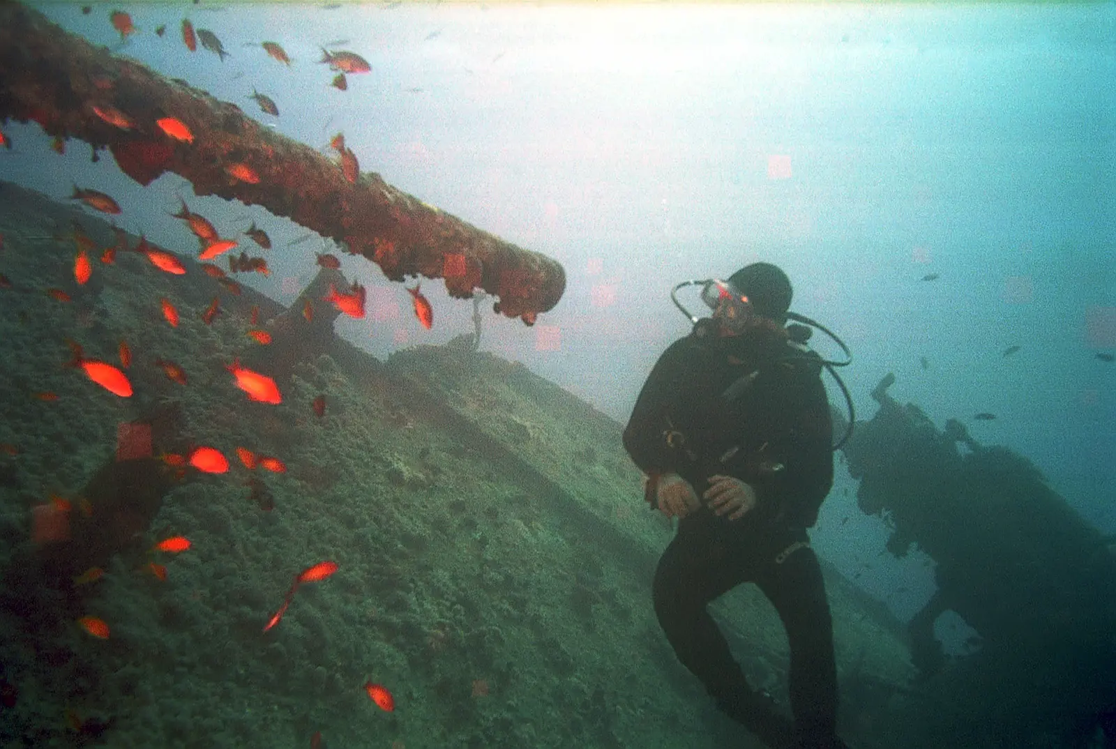 Thistlegorm (5)