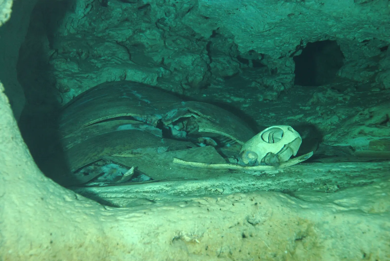 Turtle Cavern 003