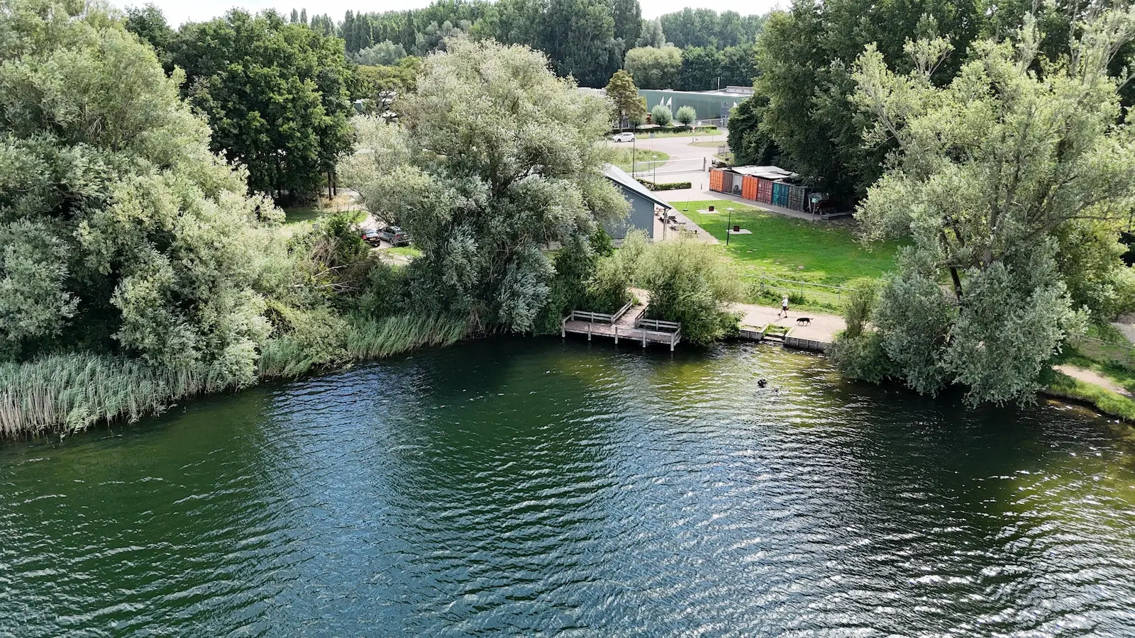 Nionplas
