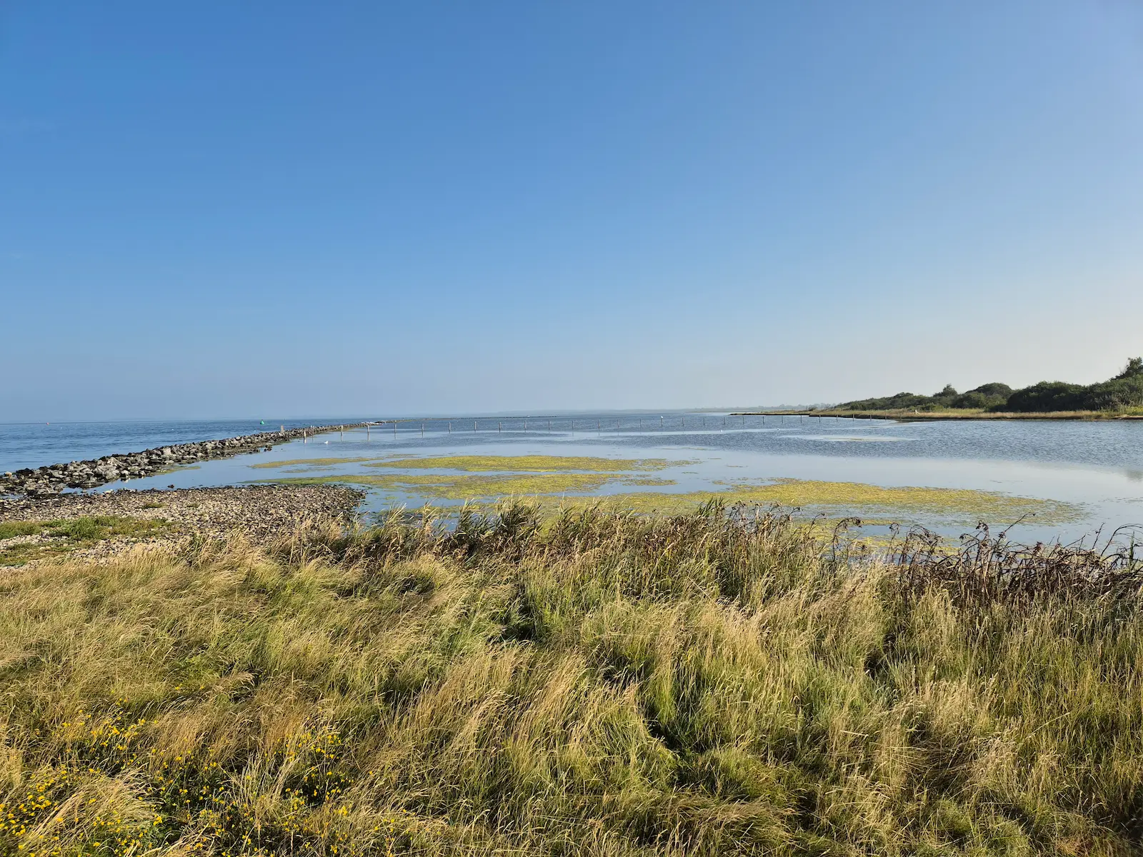 Duiklocatie Slikken van Flakkee aan het Grevelingenmeer