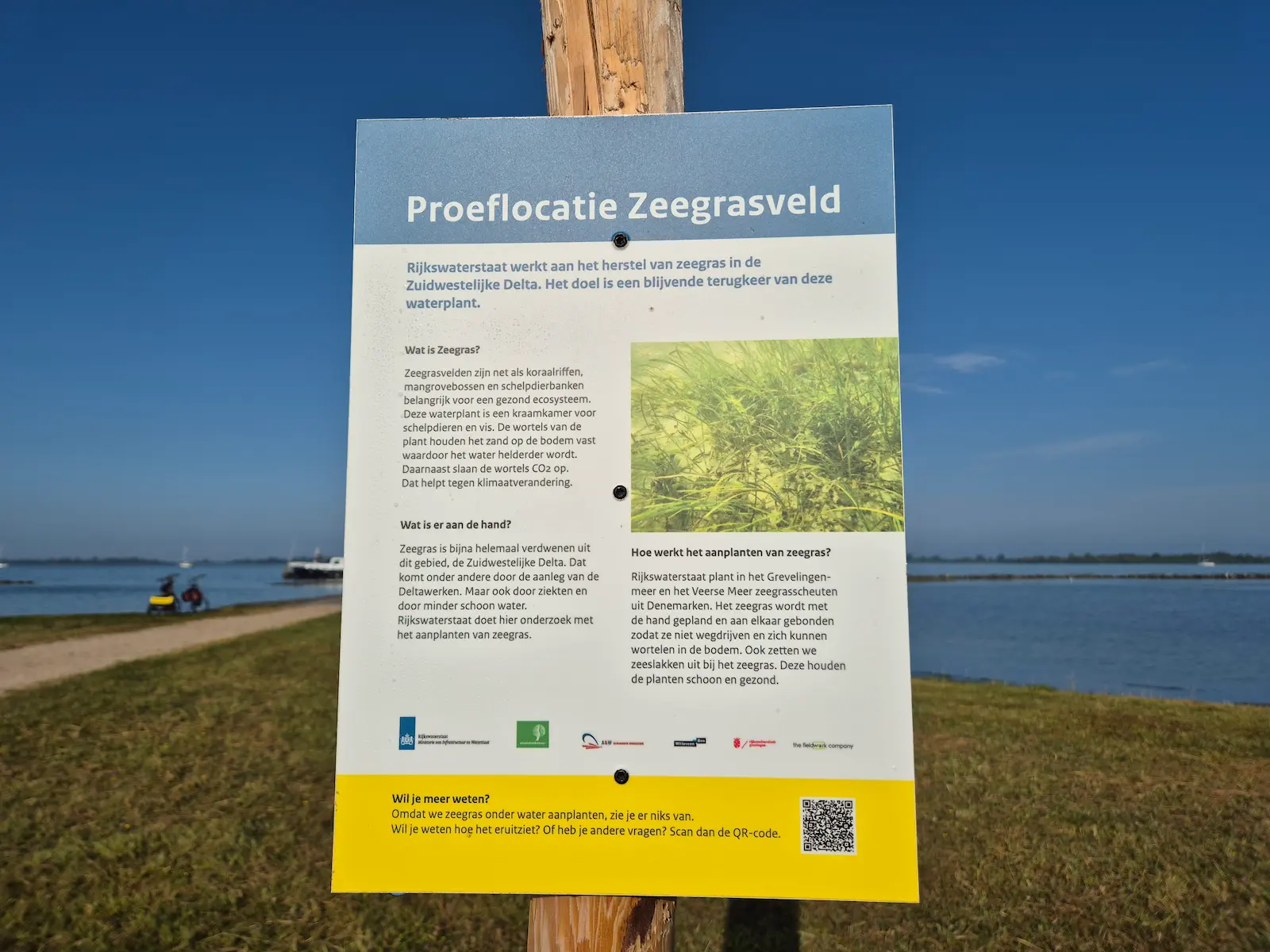 Duiklocatie Slikken van Flakkee aan het Grevelingenmeer