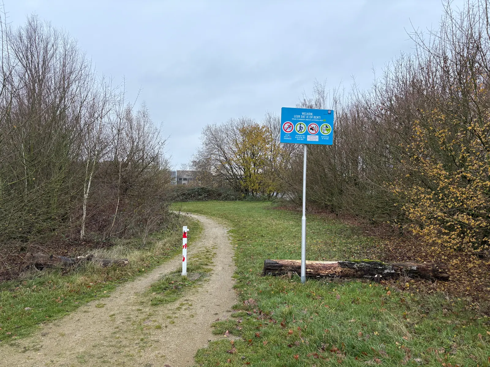 Surfplas West (6)